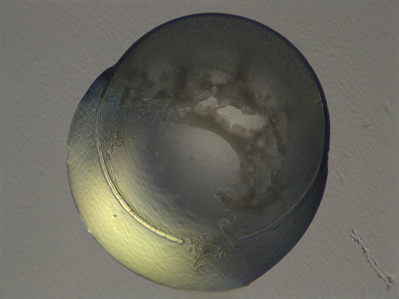 04i3_D11_ImagerDefaults_3.jpg