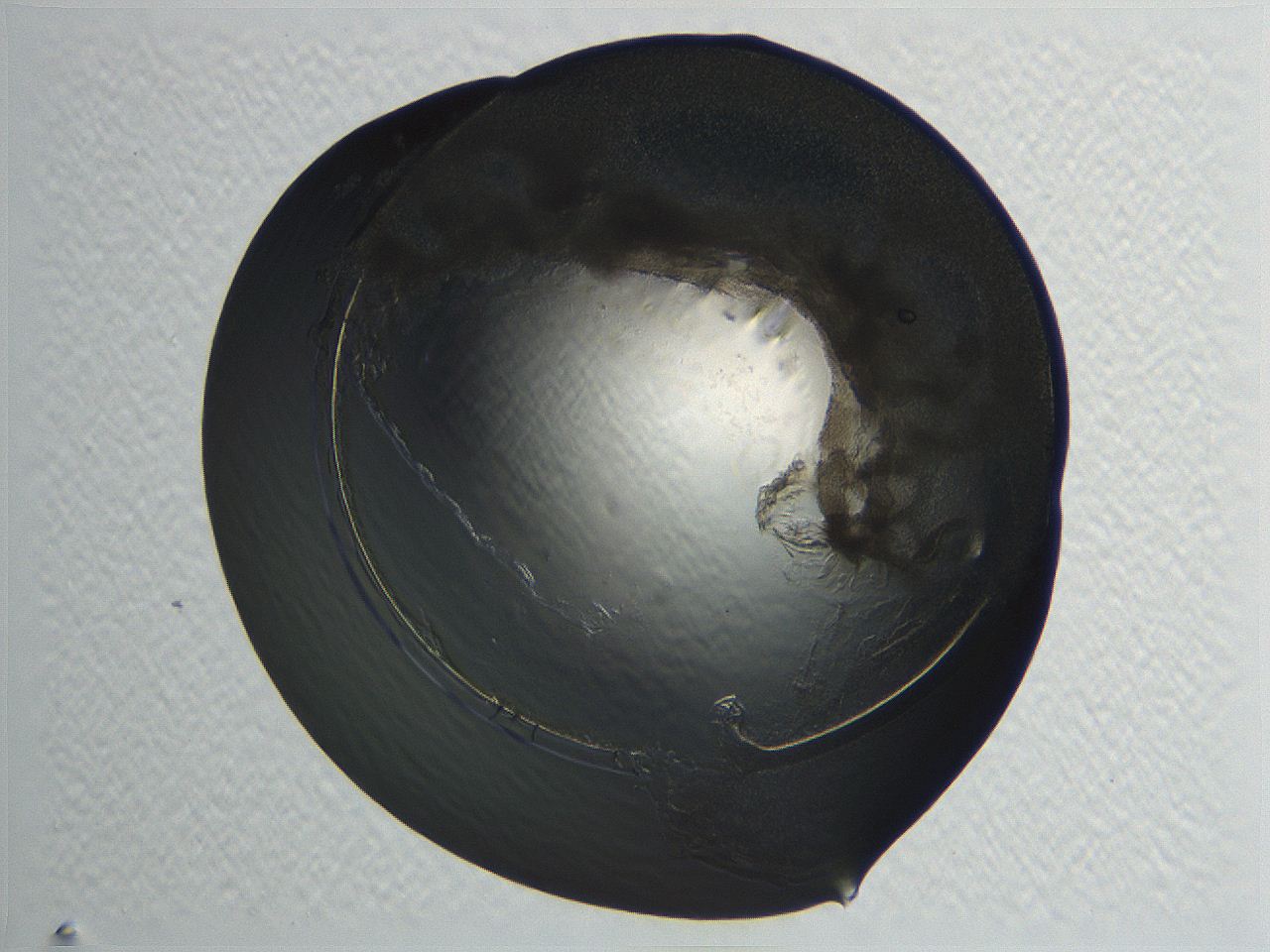 04i3_D12_ImagerDefaults_3.jpg