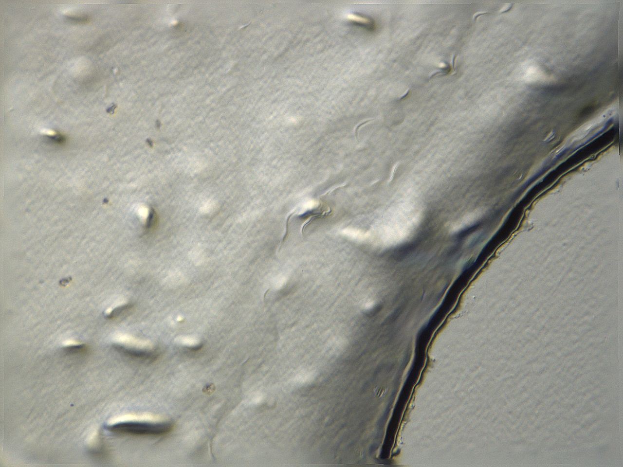 04i3_E12_ImagerDefaults_3.jpg