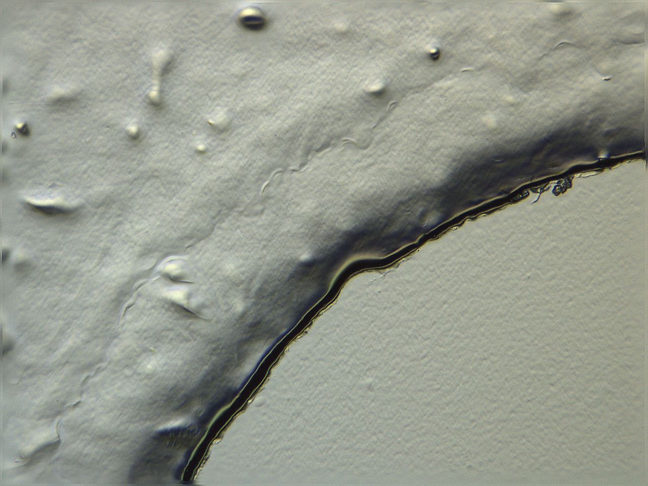 04i3_F2_ImagerDefaults_3.jpg
