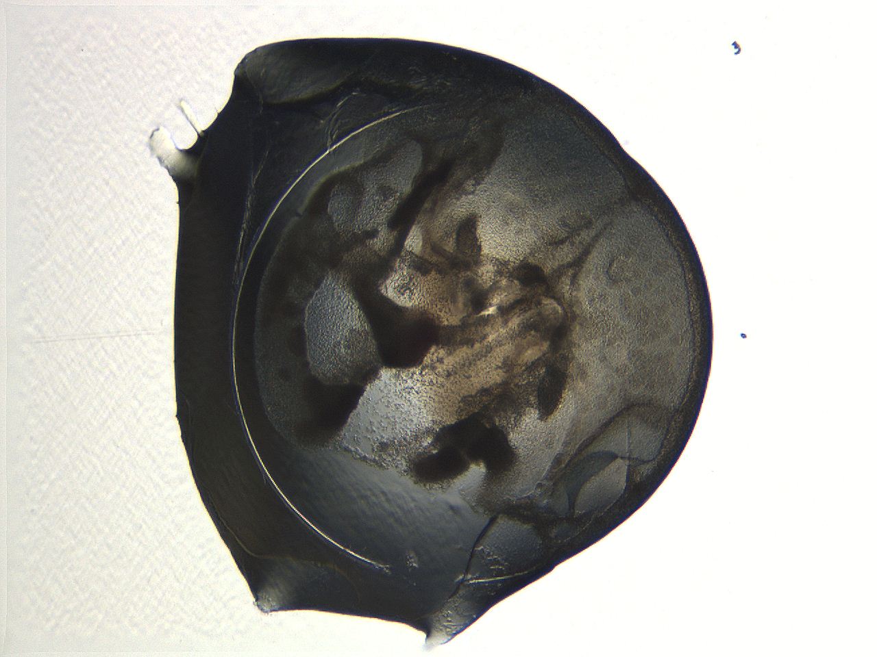 04i3_F3_ImagerDefaults_3.jpg