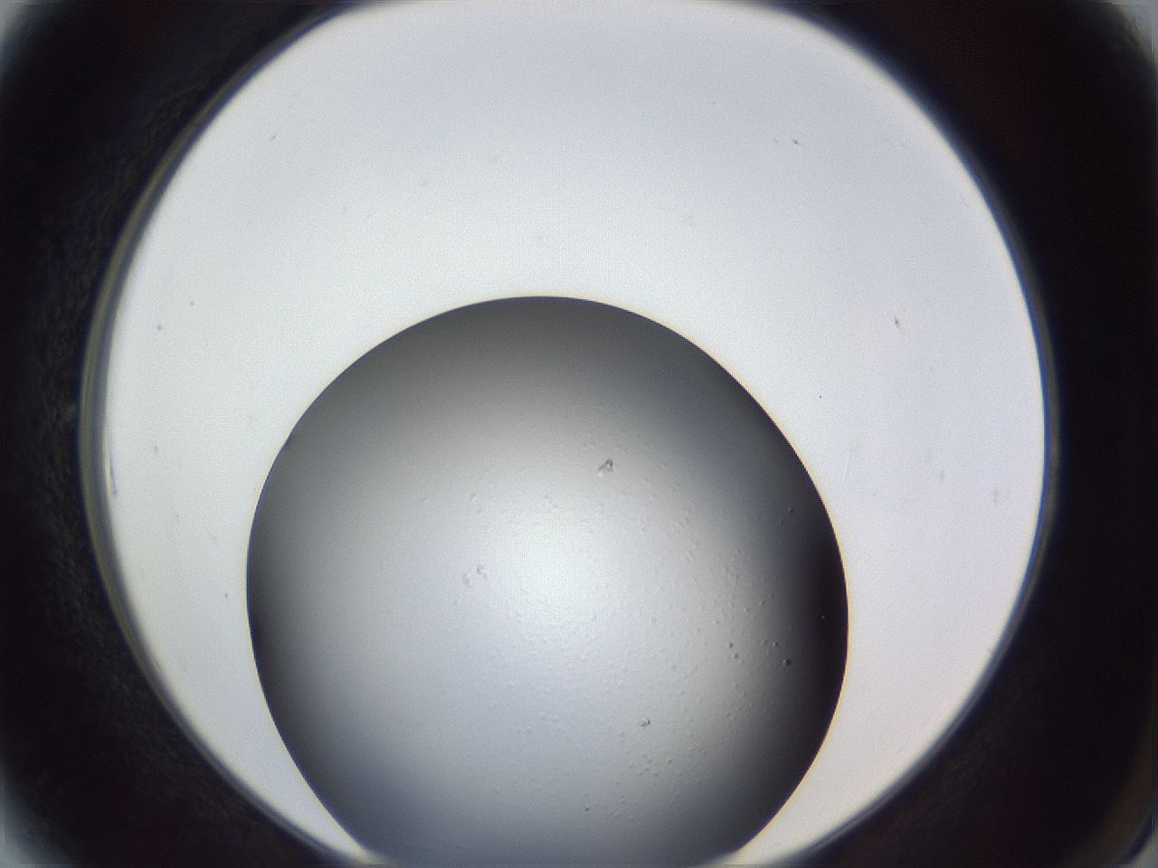 folderID364_plateID1364_batchID5416_wellNum6_profileID1_d2_r82587_ef.jpg