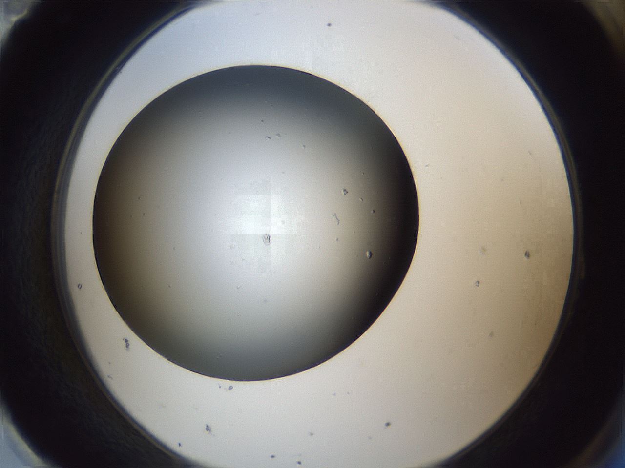 folderID364_plateID1364_batchID5416_wellNum95_profileID1_d2_r82765_ef.jpg