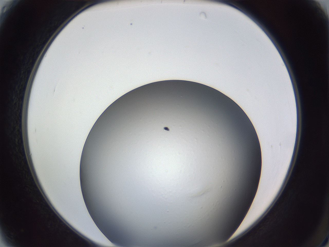 folderID364_plateID1364_batchID5416_wellNum4_profileID1_d2_r82583_ef.jpg