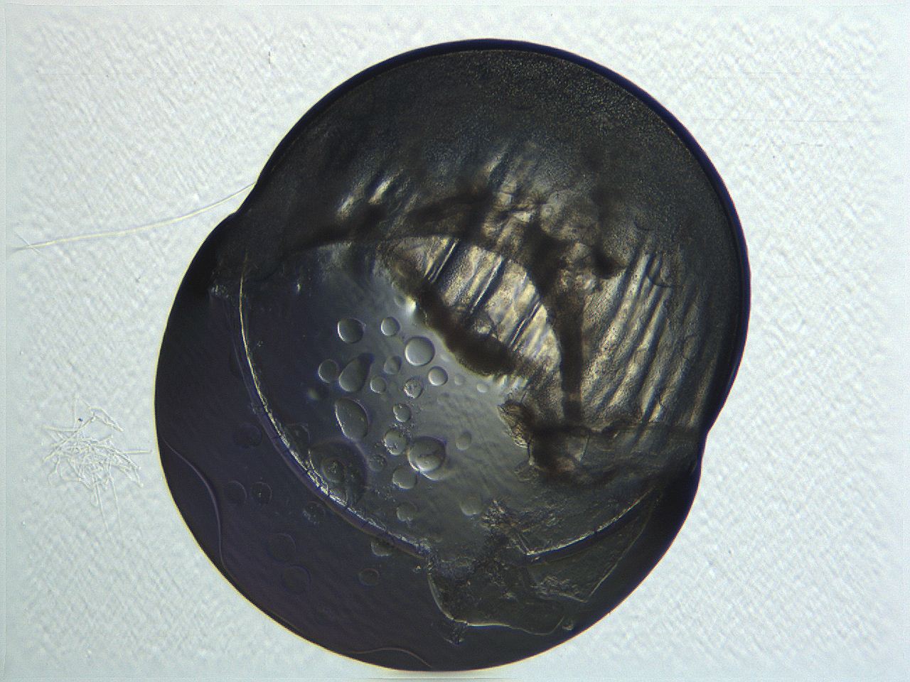 04i3_F10_ImagerDefaults_3.jpg