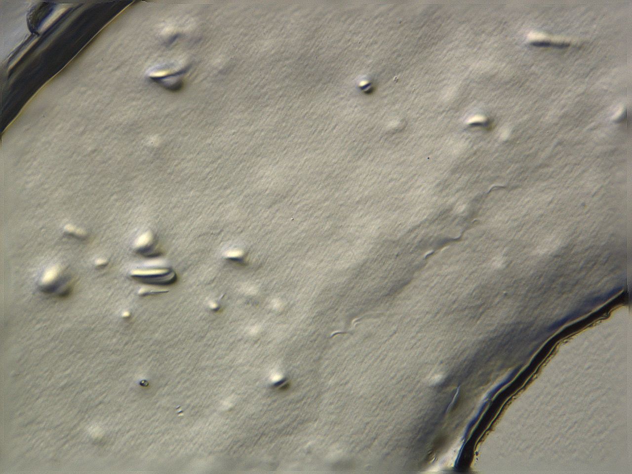04i3_G2_ImagerDefaults_0.jpg