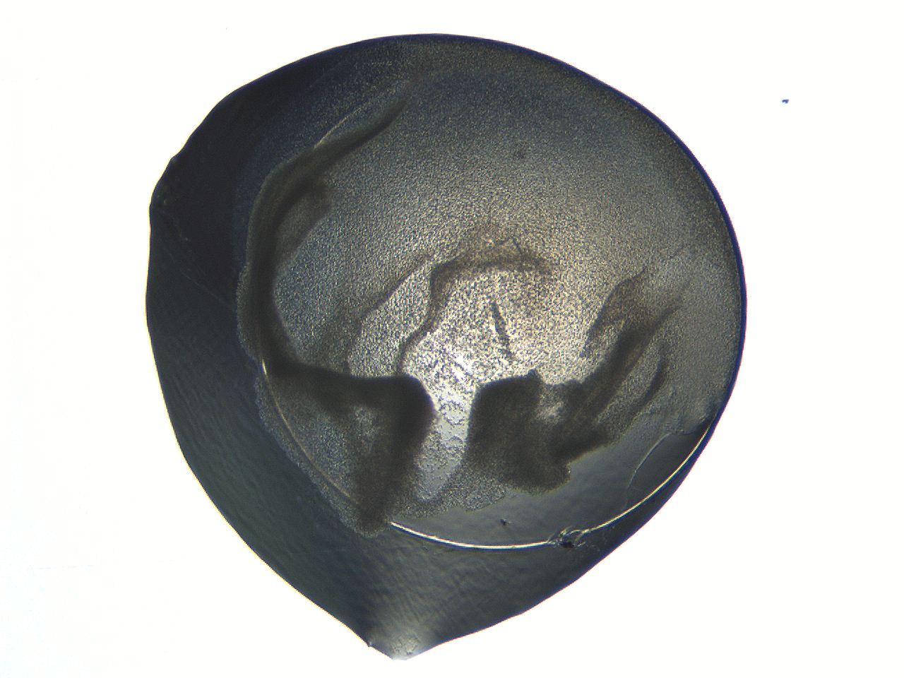 04i3_G5_ImagerDefaults_3.jpg