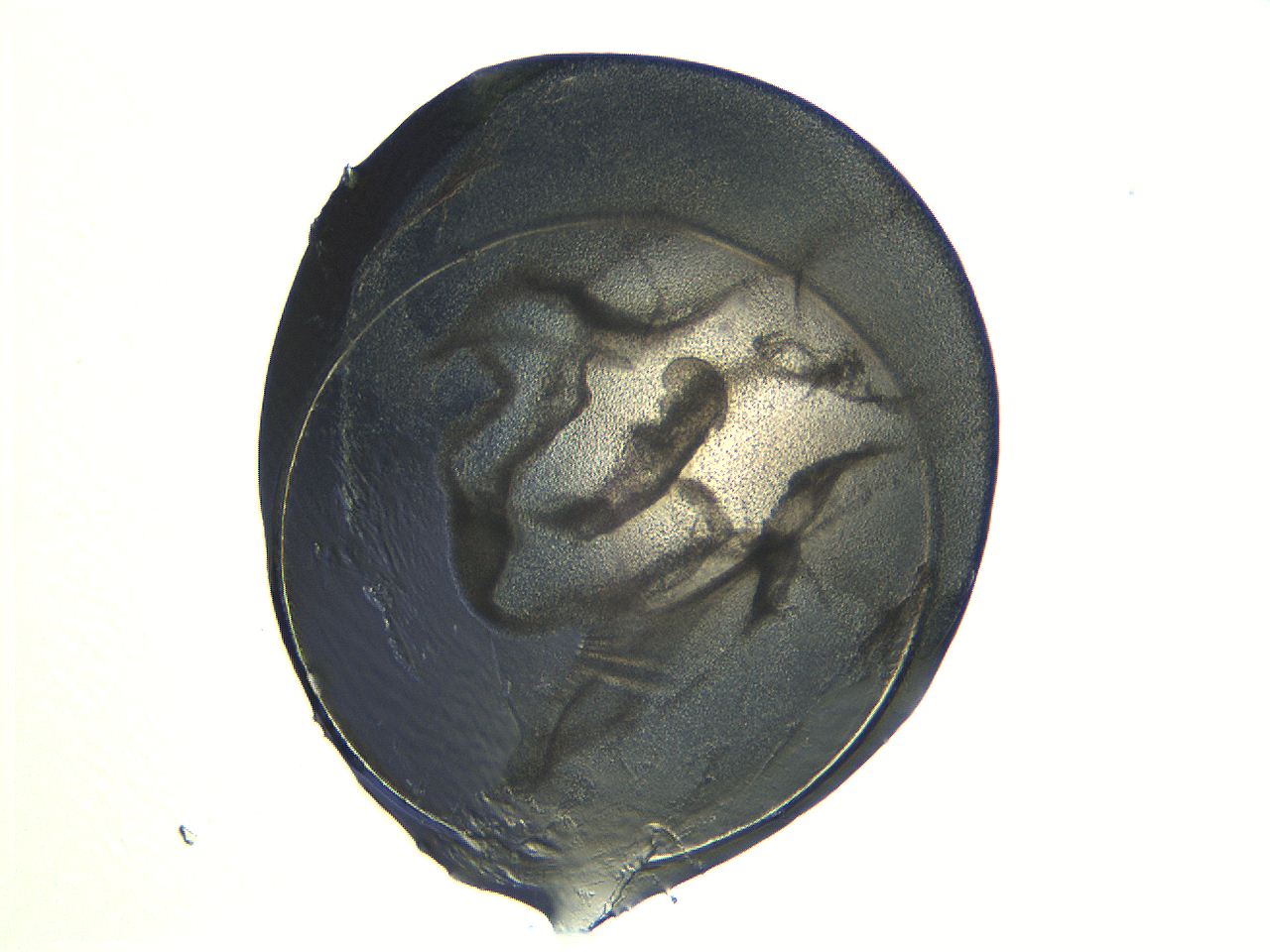04i3_G6_ImagerDefaults_3.jpg