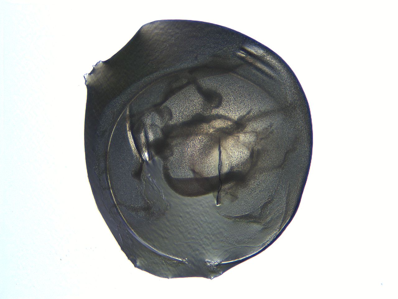 04i3_G7_ImagerDefaults_3.jpg