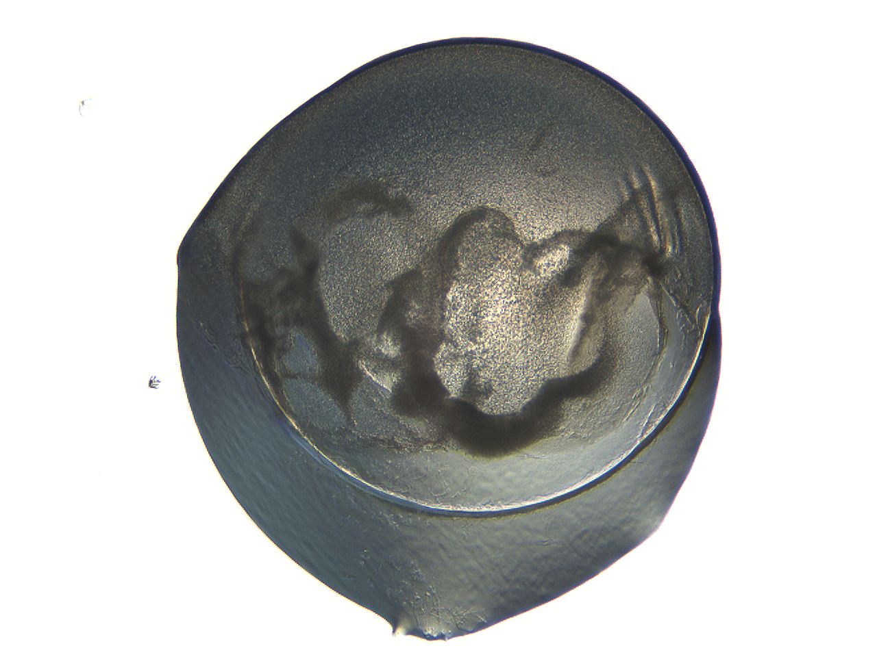 04i3_G8_ImagerDefaults_3.jpg