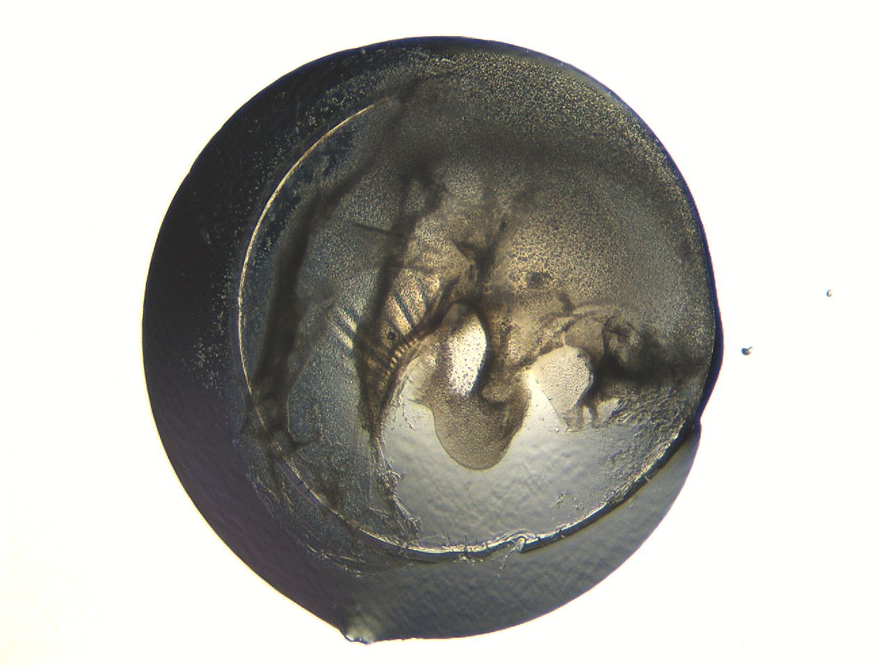 04i3_G10_ImagerDefaults_3.jpg
