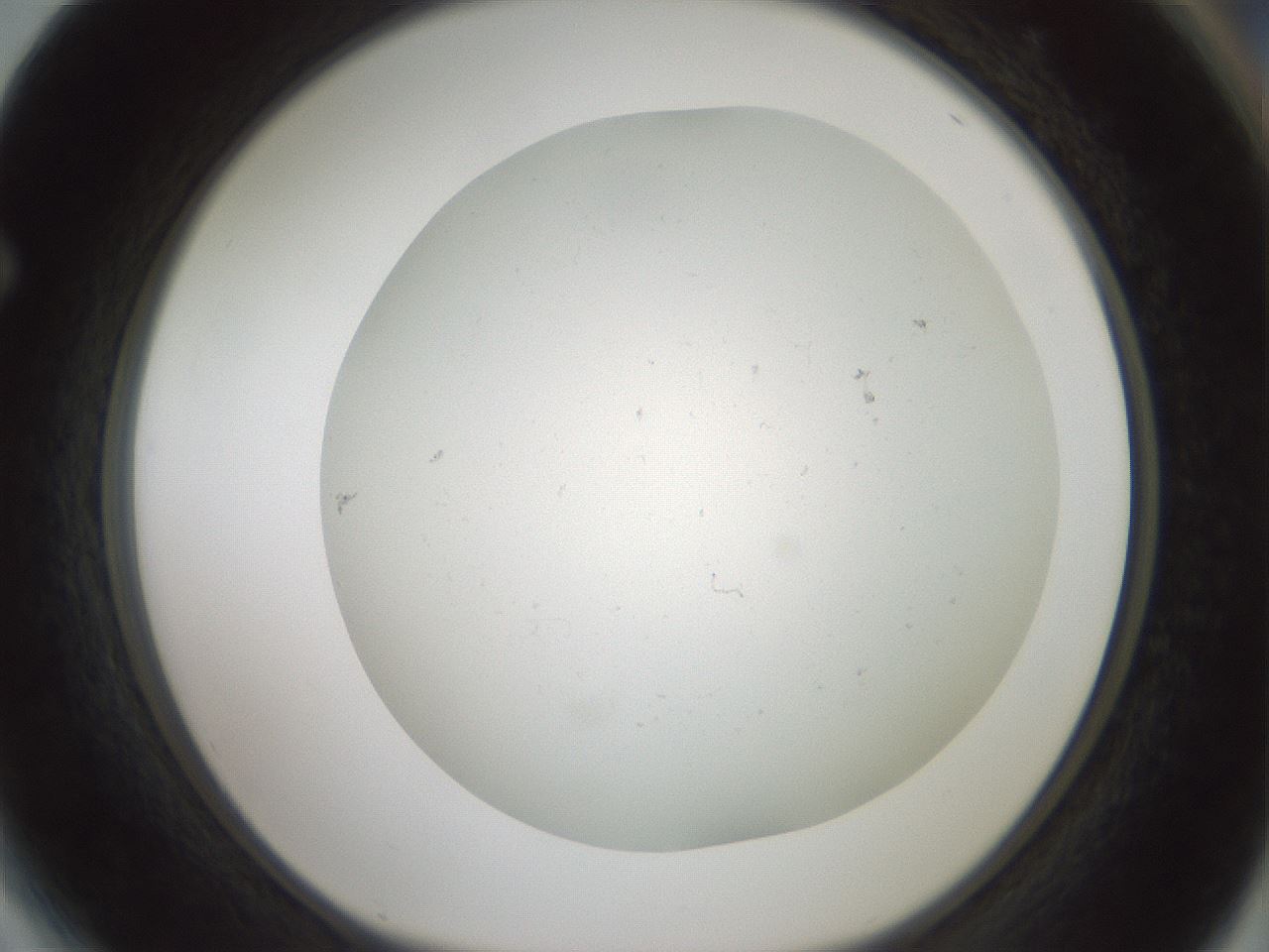 folderID370_plateID1370_batchID6050_wellNum64_profileID1_d1_r83599_ef.jpg