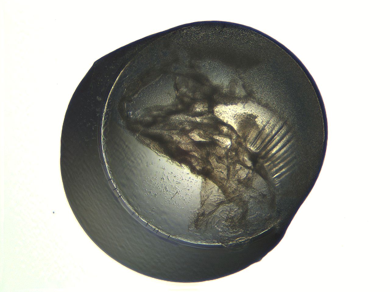 04i3_G11_ImagerDefaults_3.jpg