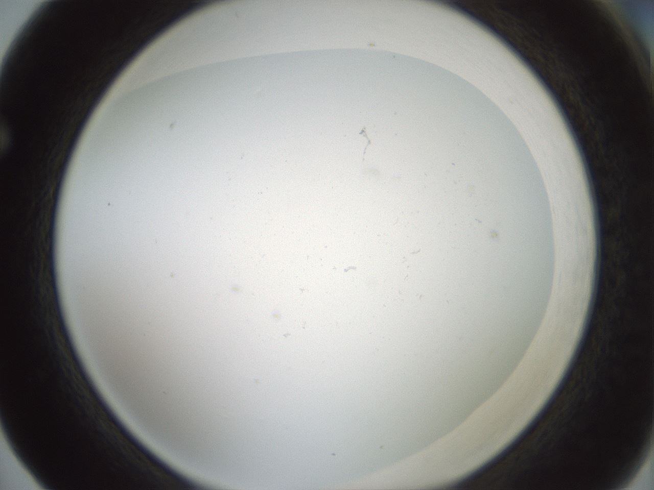folderID370_plateID1370_batchID6056_wellNum65_profileID1_d1_r83600_ef.jpg
