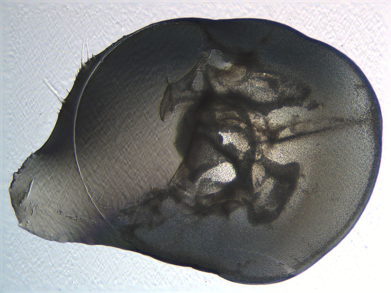 04i3_H1_ImagerDefaults_3.jpg