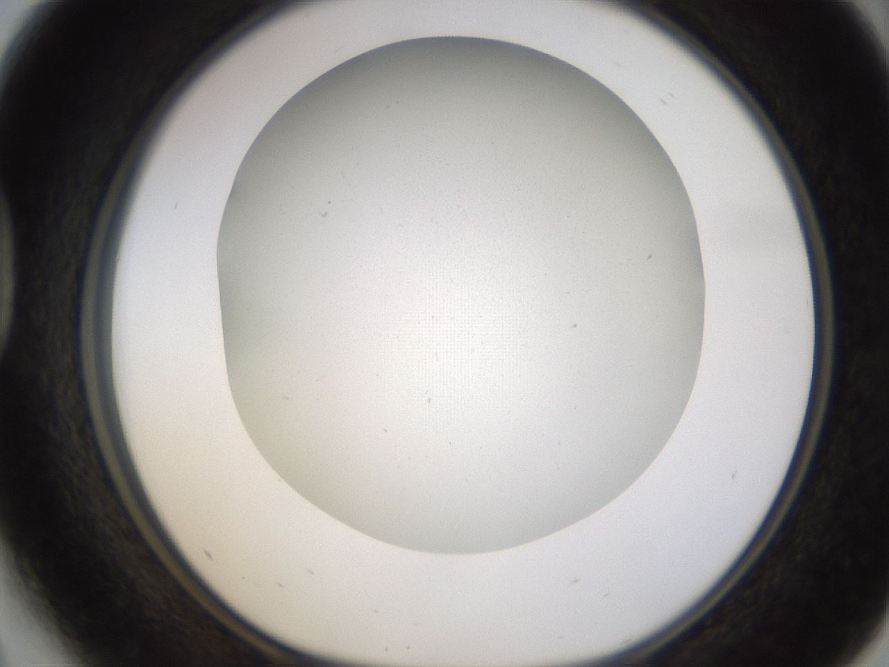 folderID371_plateID1371_batchID4821_wellNum41_profileID1_d1_r83480_ef.jpg