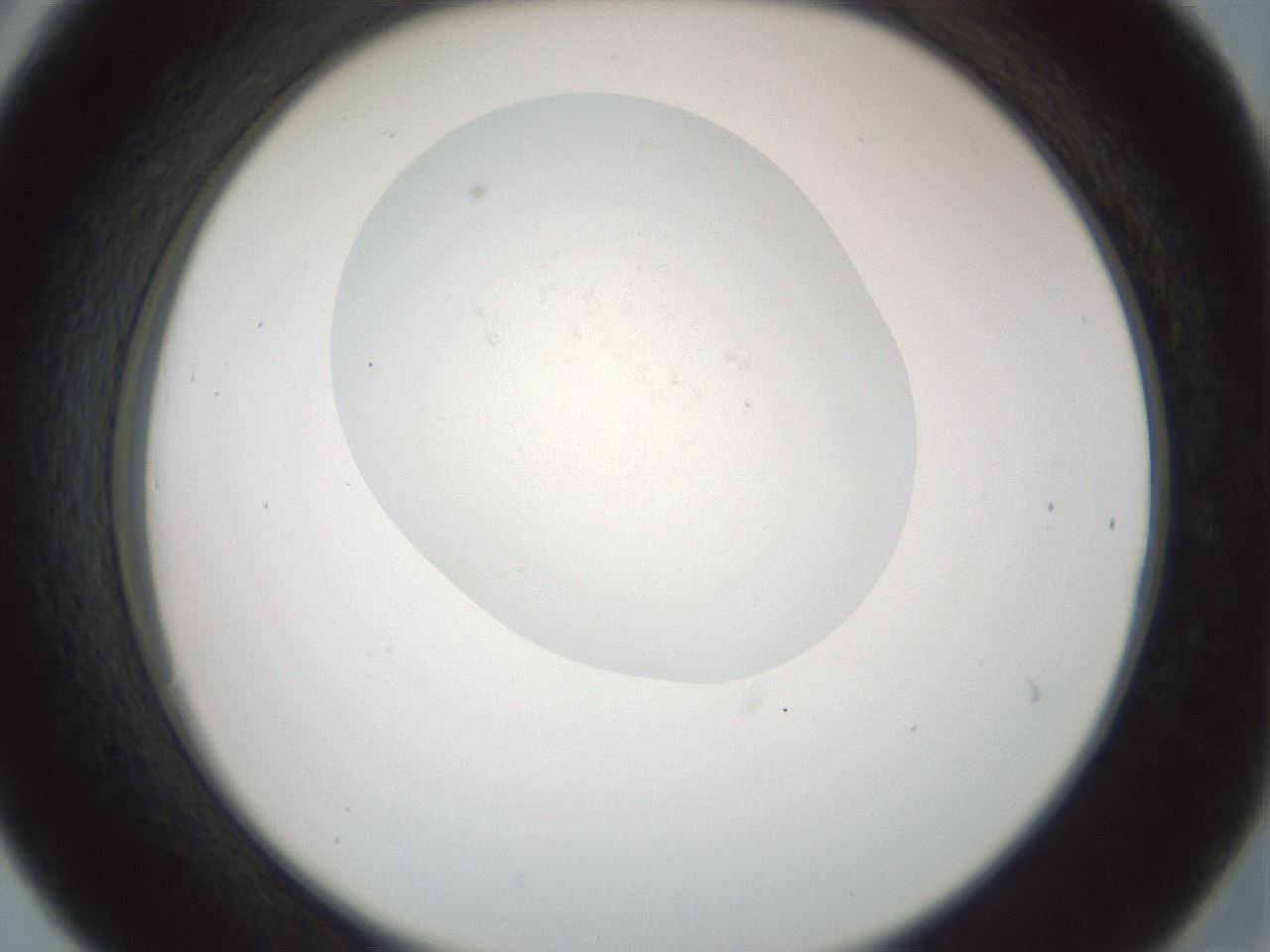 folderID371_plateID3371_batchID19829_wellNum30_profileID1_d2_r302030_ef.jpg