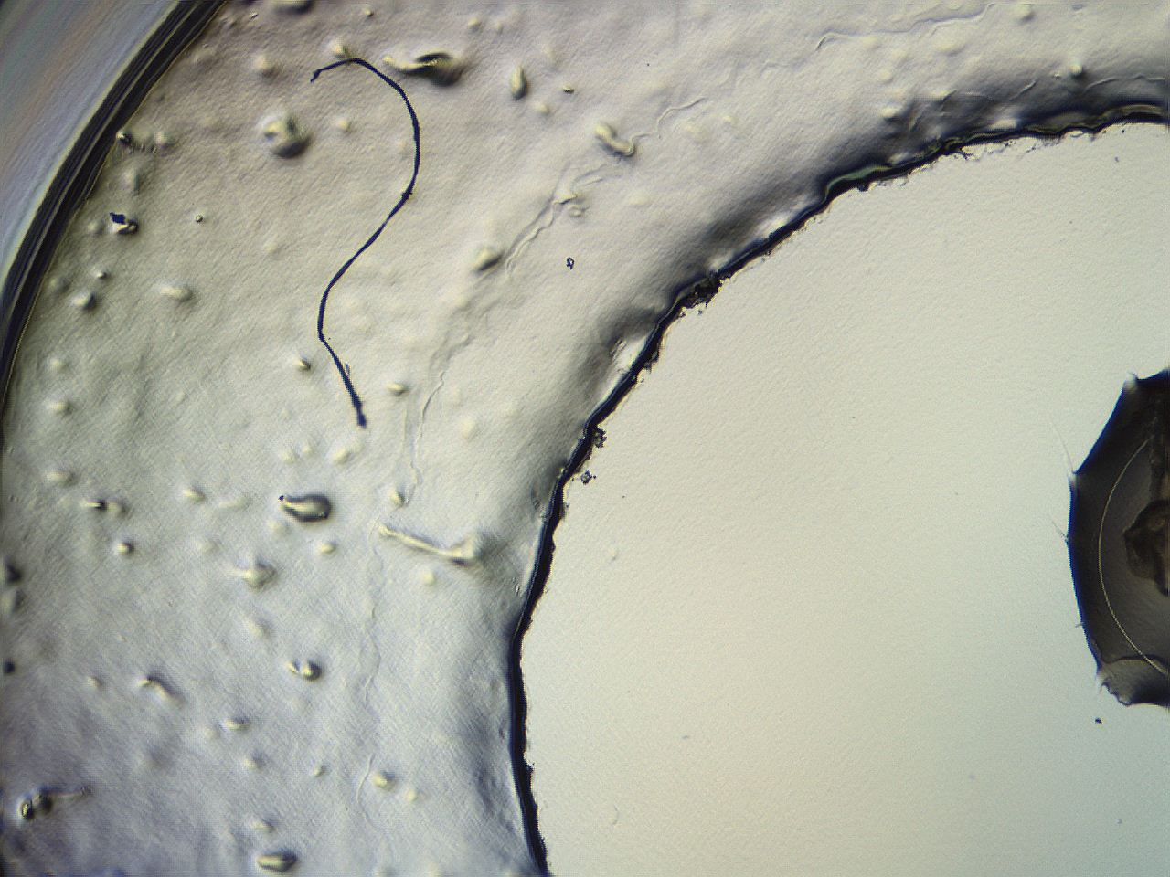 04i3_H3_ImagerDefaults_3.jpg