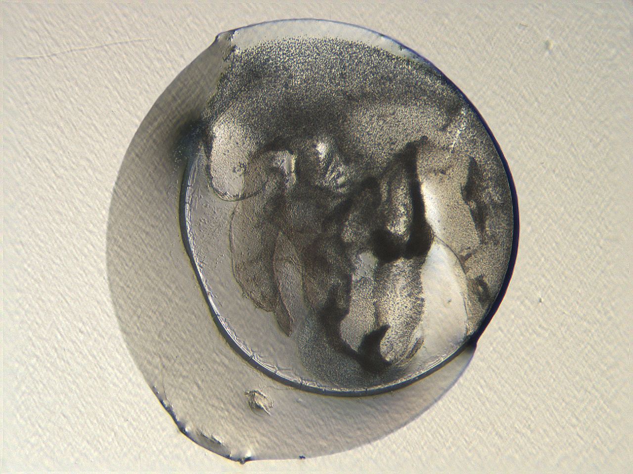 04i3_H9_ImagerDefaults_3.jpg