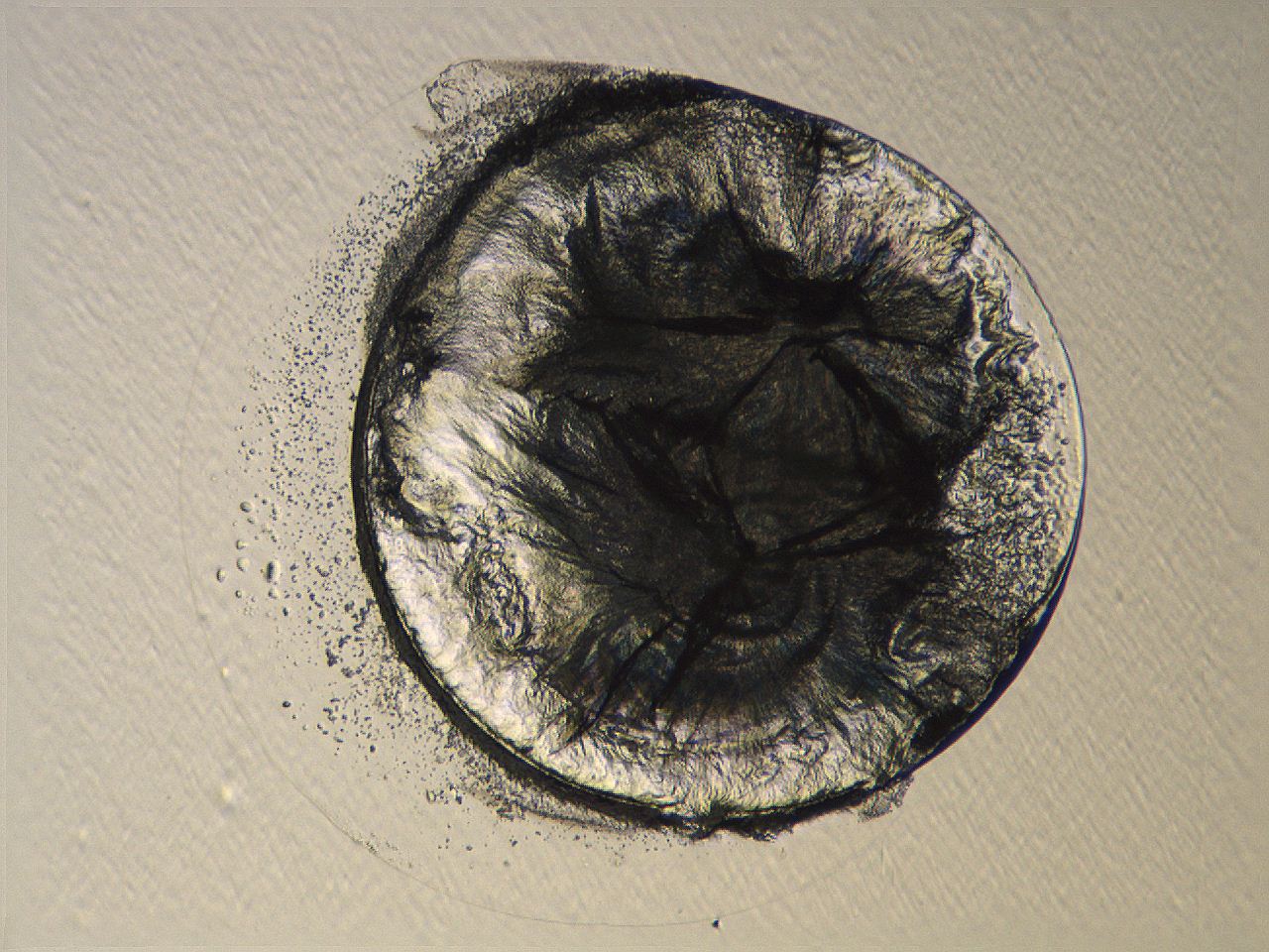 04i3_H10_ImagerDefaults_3.jpg