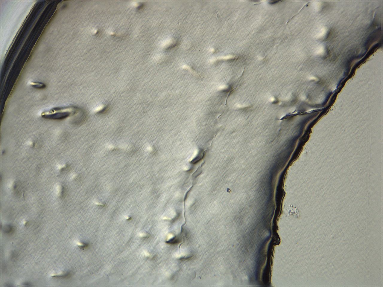 04i3_H11_ImagerDefaults_3.jpg