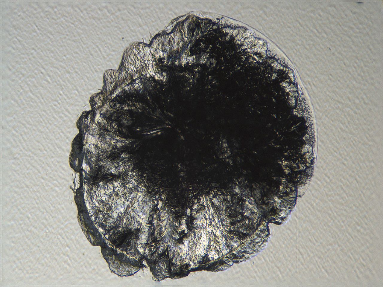 04i3_H12_ImagerDefaults_3.jpg
