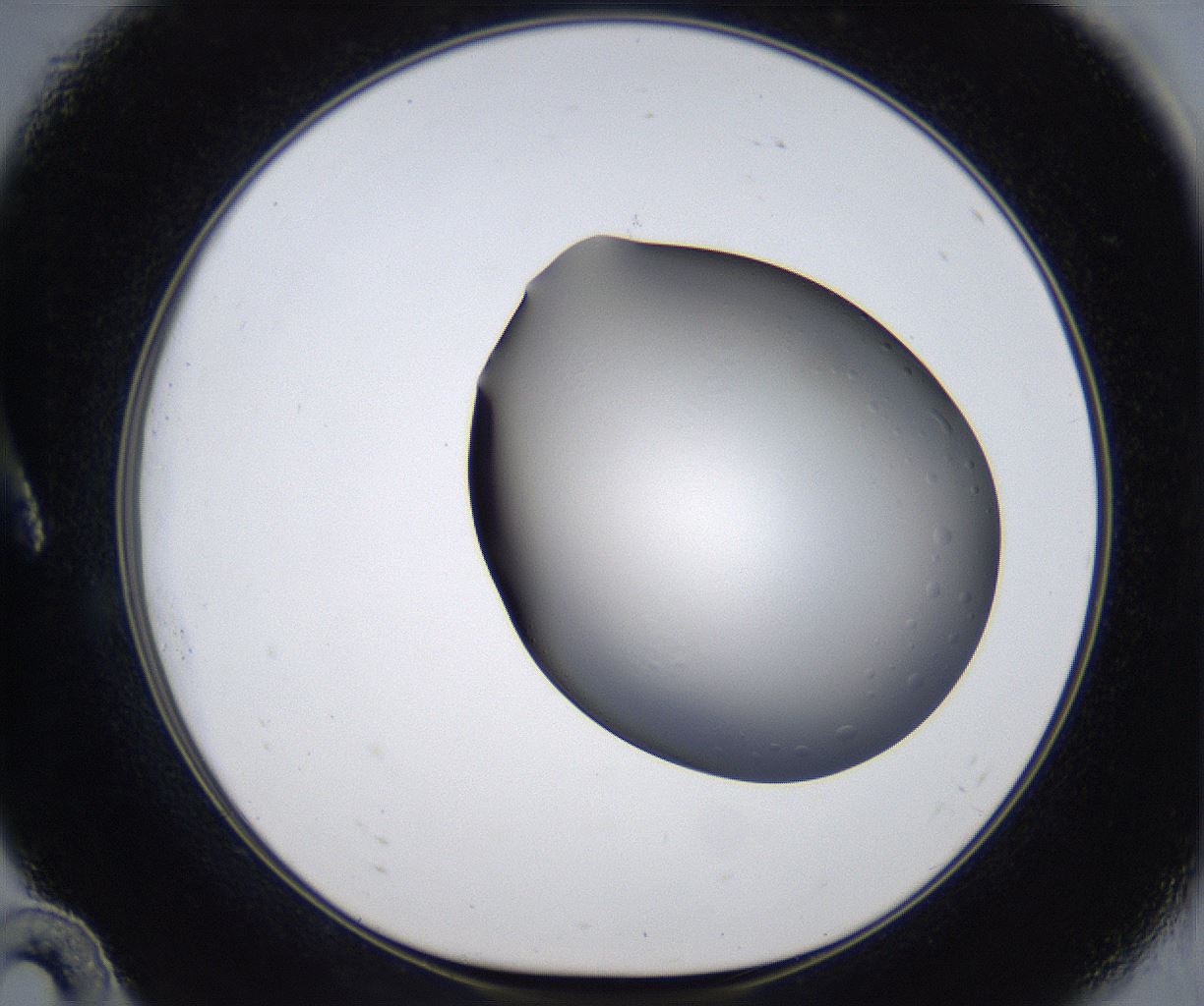 folderID373_plateID2373_batchID11297_wellNum10_profileID1_d1_r175276_ef.jpg