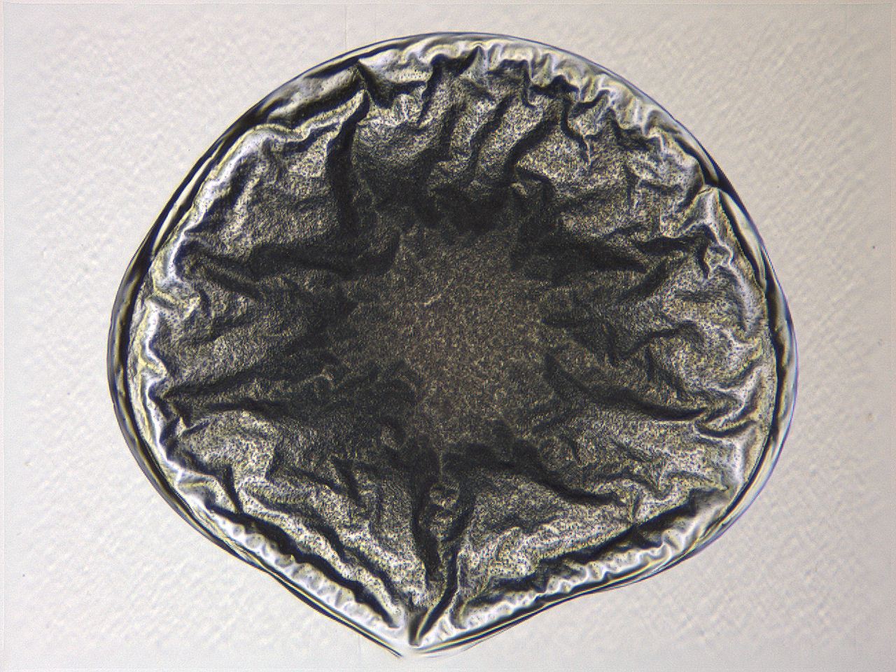 04i4_A4_ImagerDefaults_3.jpg