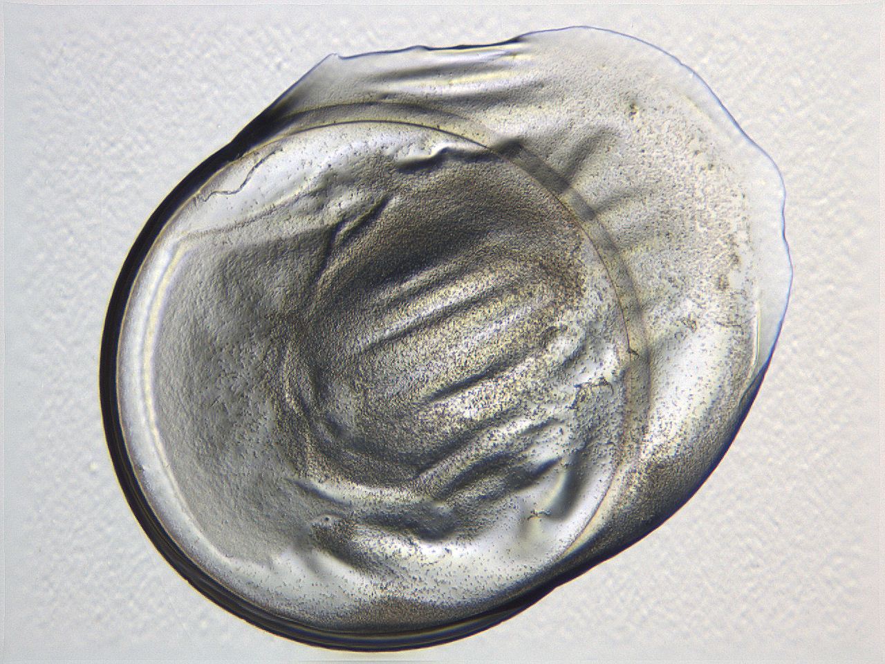 04i4_A8_ImagerDefaults_3.jpg