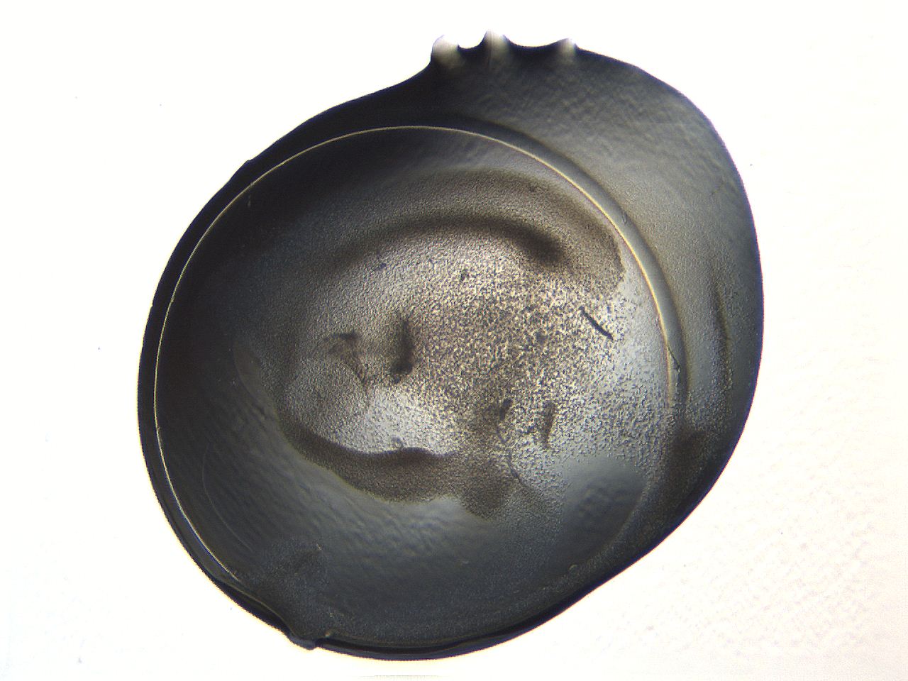 04i4_A9_ImagerDefaults_3.jpg
