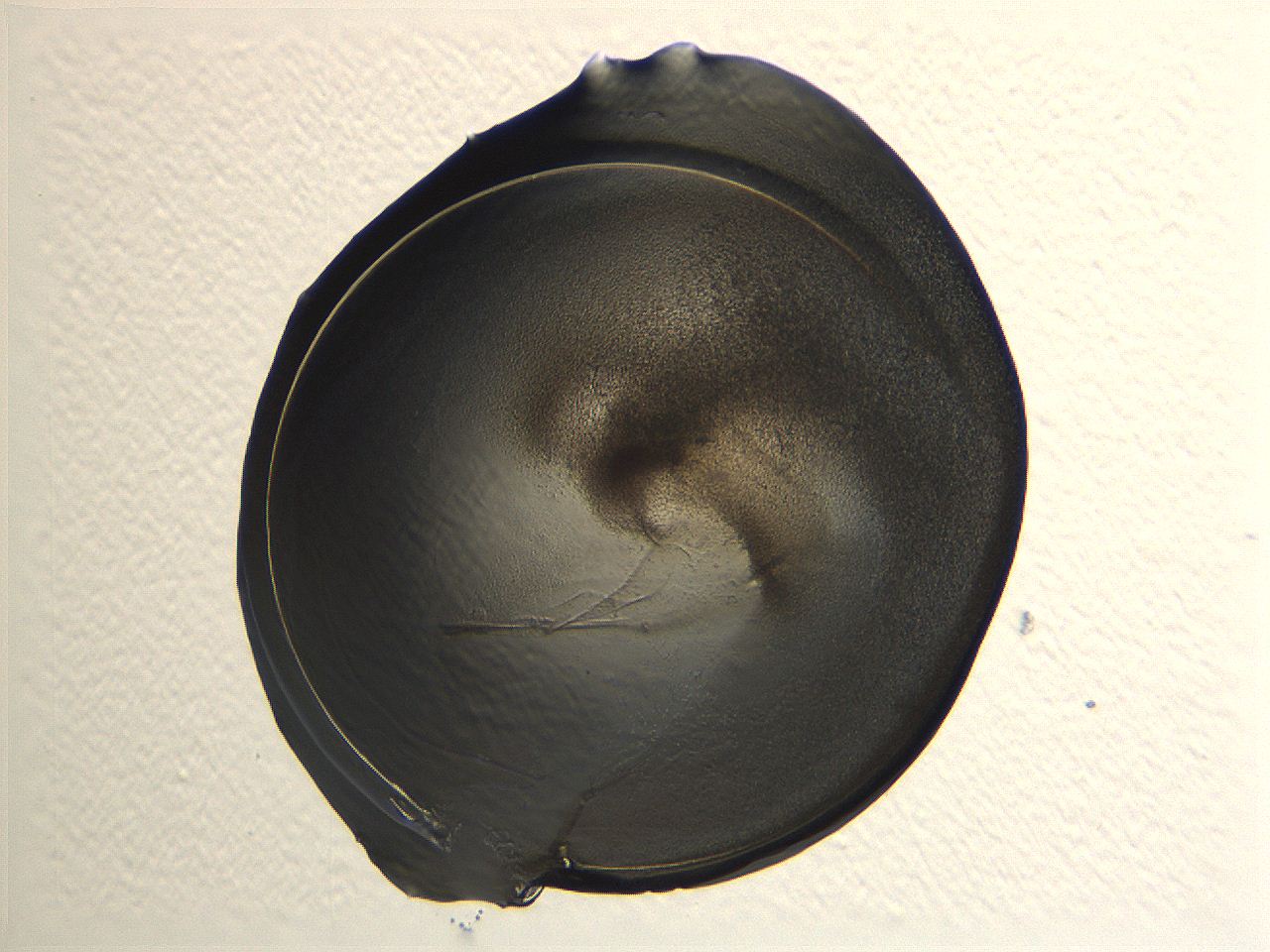 04i4_A11_ImagerDefaults_3.jpg