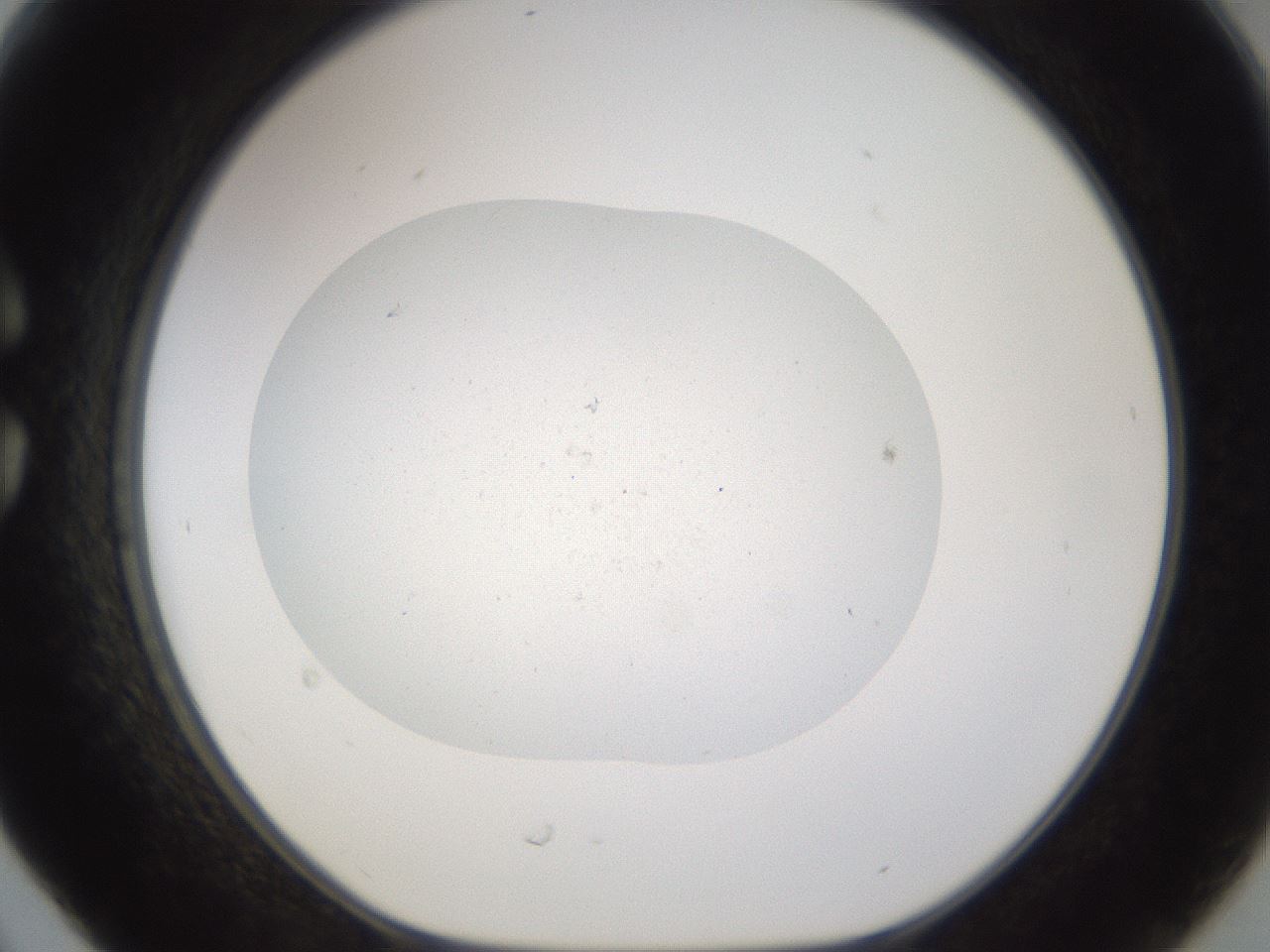 folderID373_plateID3373_batchID21726_wellNum30_profileID1_d1_r299629_ef.jpg