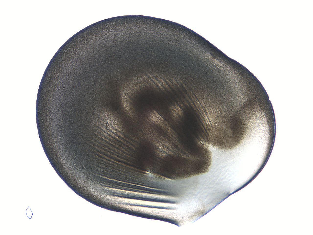 04i4_B4_ImagerDefaults_3.jpg