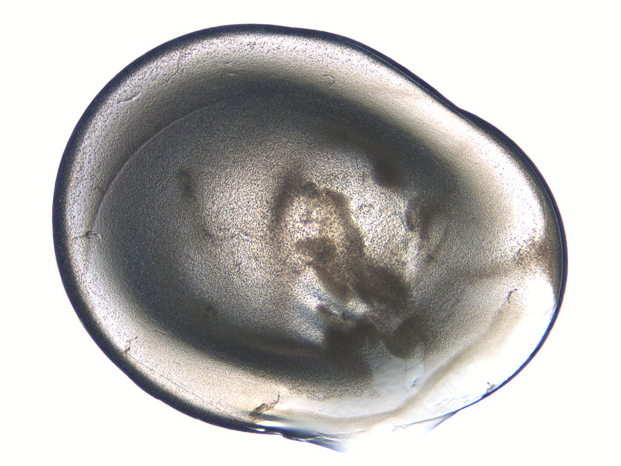 04i4_B5_ImagerDefaults_3.jpg