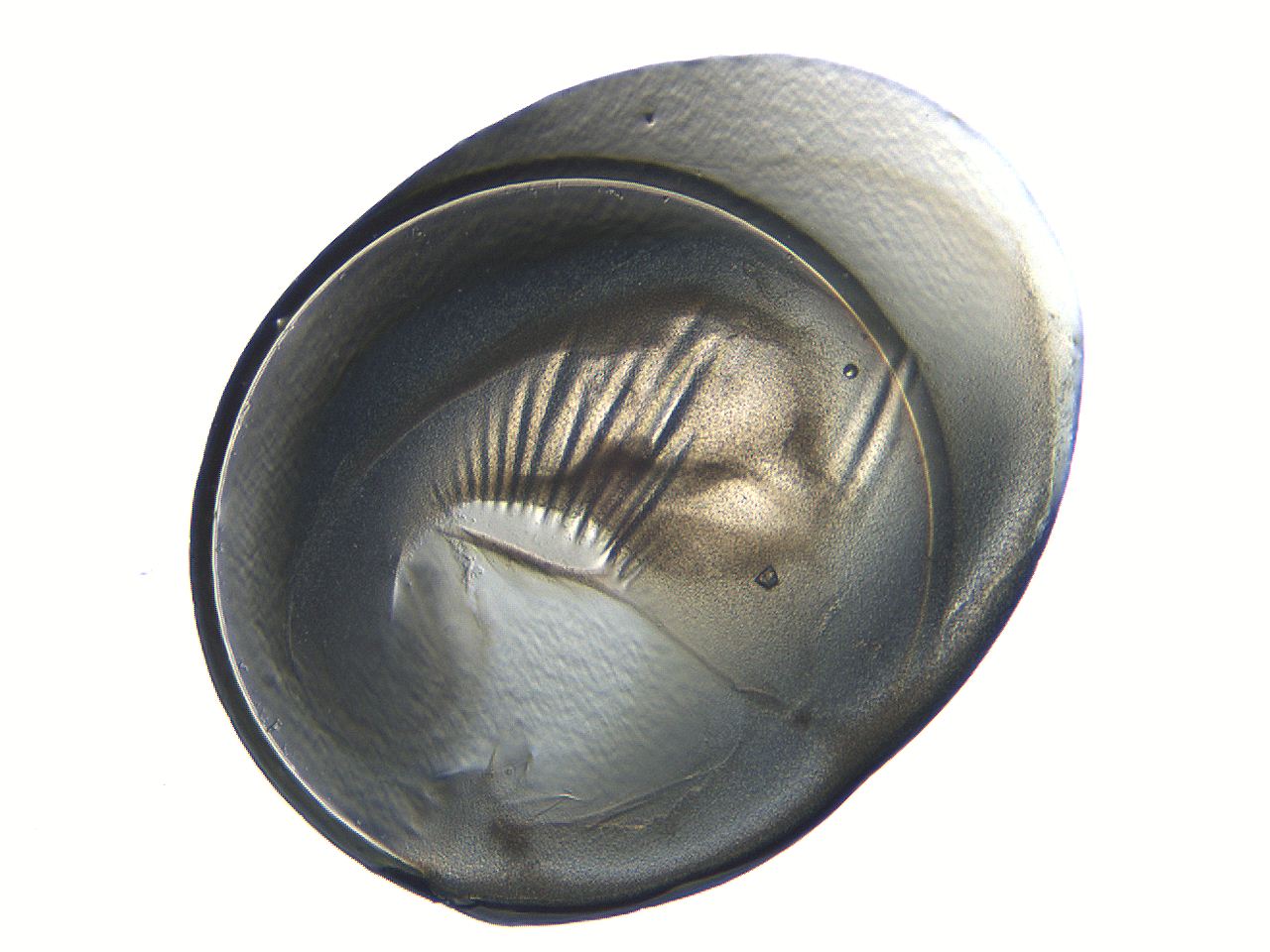 04i4_B8_ImagerDefaults_3.jpg