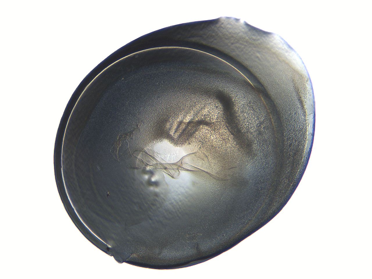 04i4_B9_ImagerDefaults_3.jpg