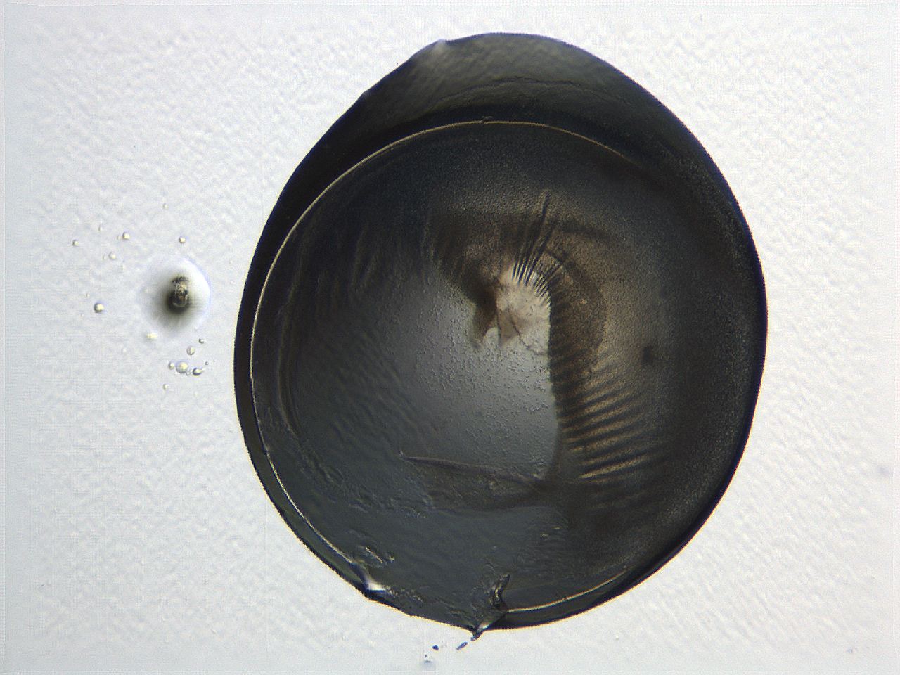04i4_B11_ImagerDefaults_3.jpg
