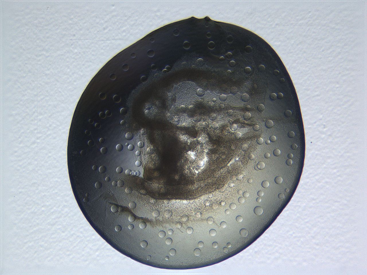 04i4_C1_ImagerDefaults_3.jpg