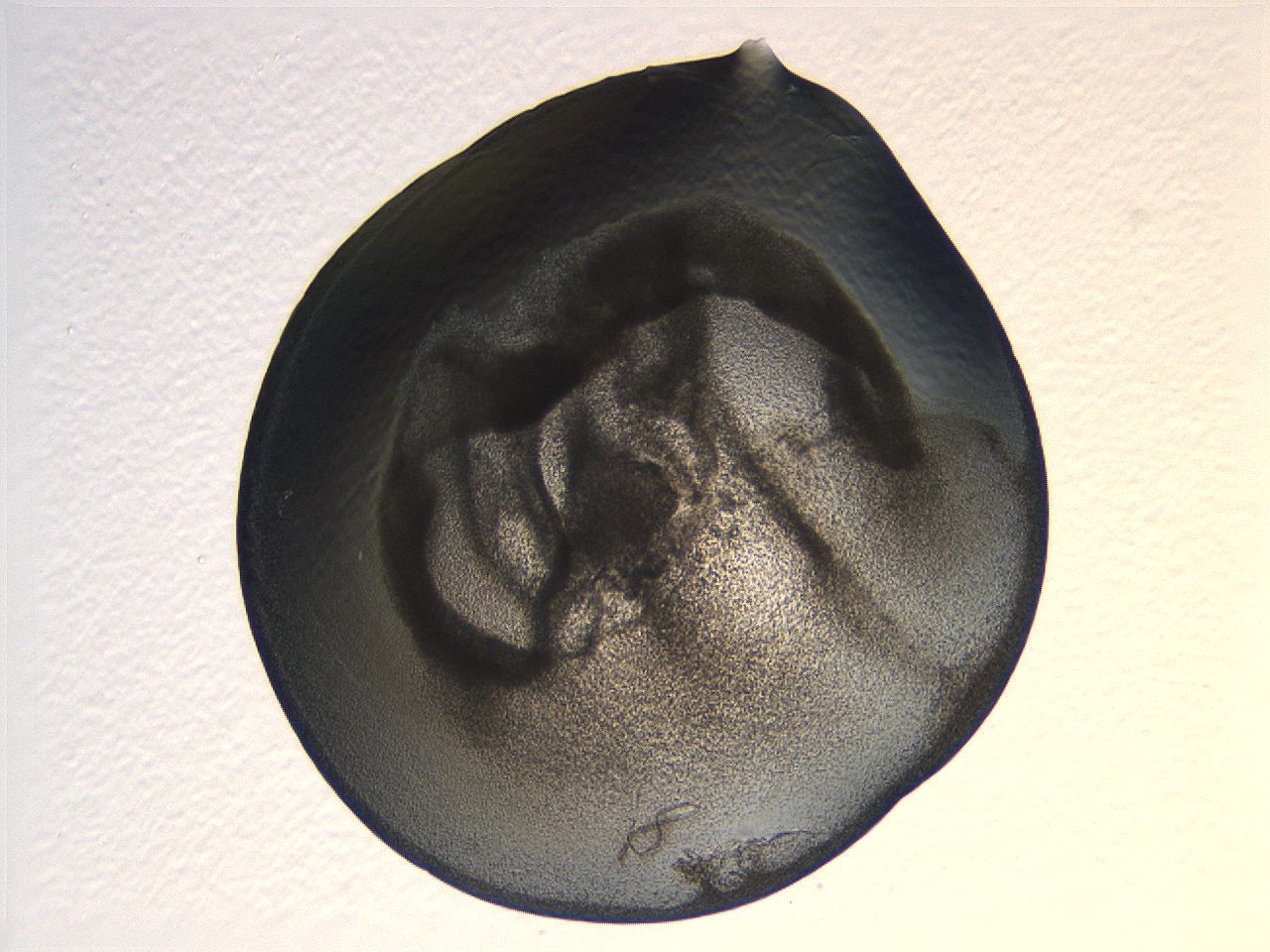 04i4_C2_ImagerDefaults_3.jpg