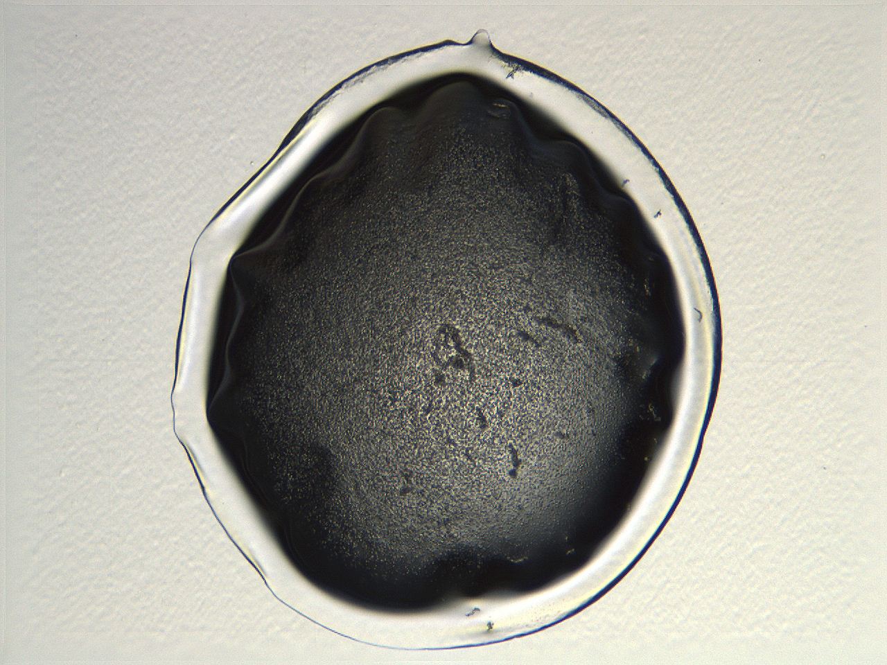 04i4_C3_ImagerDefaults_3.jpg