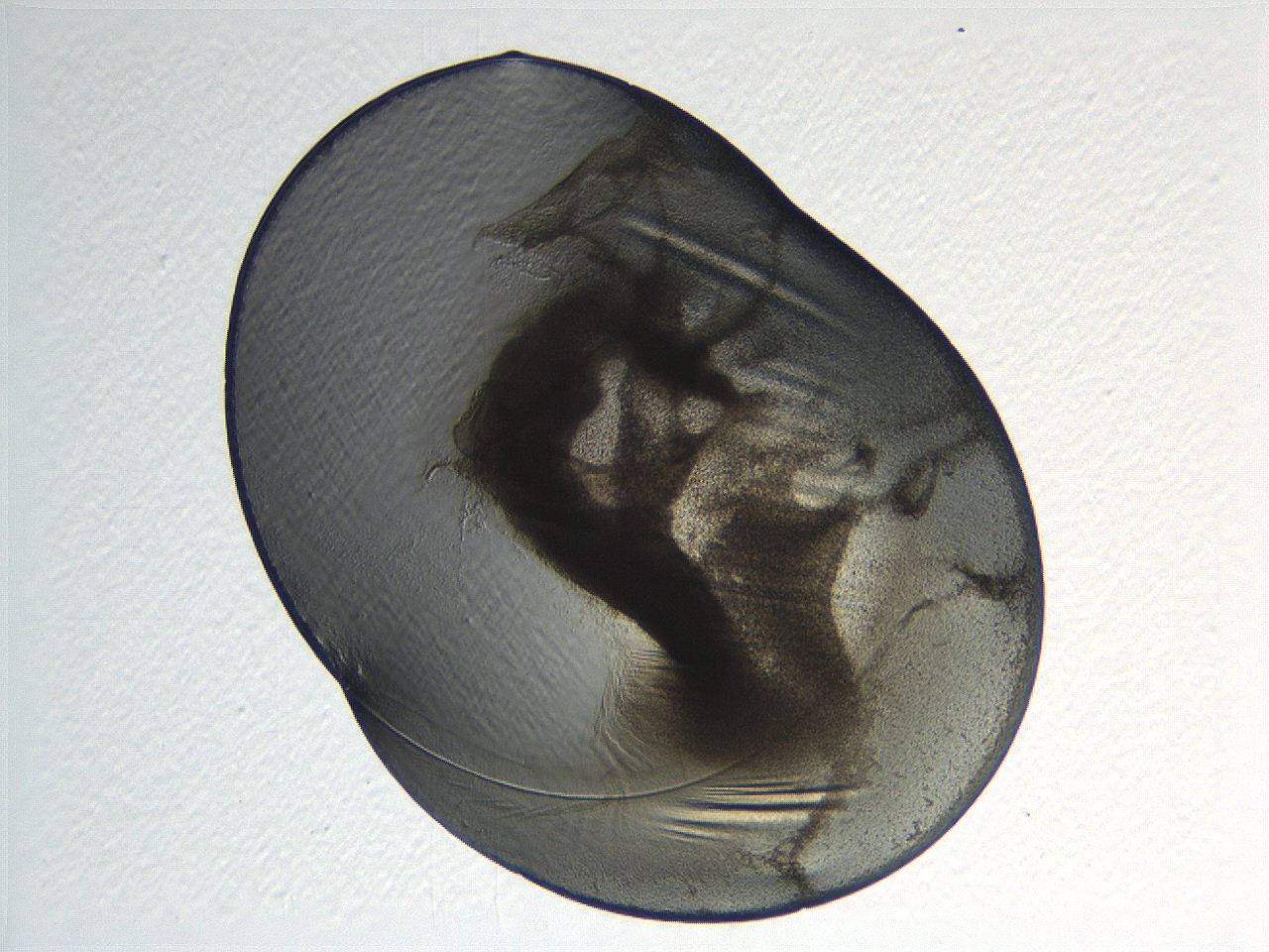 04i4_C4_ImagerDefaults_3.jpg