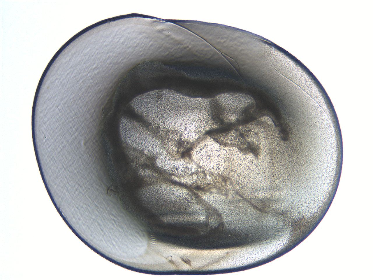 04i4_C5_ImagerDefaults_3.jpg