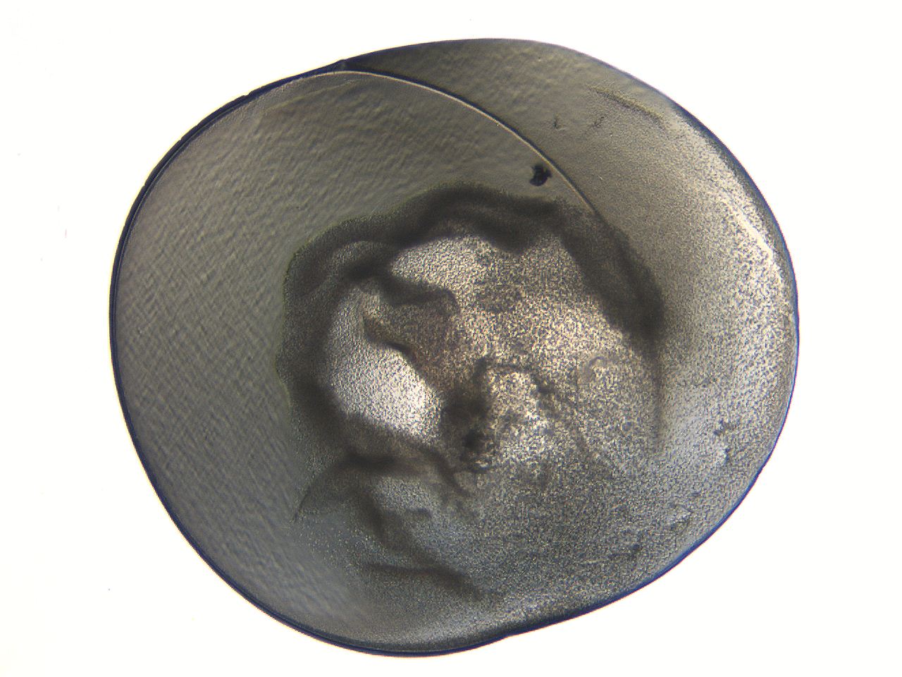 04i4_C6_ImagerDefaults_3.jpg