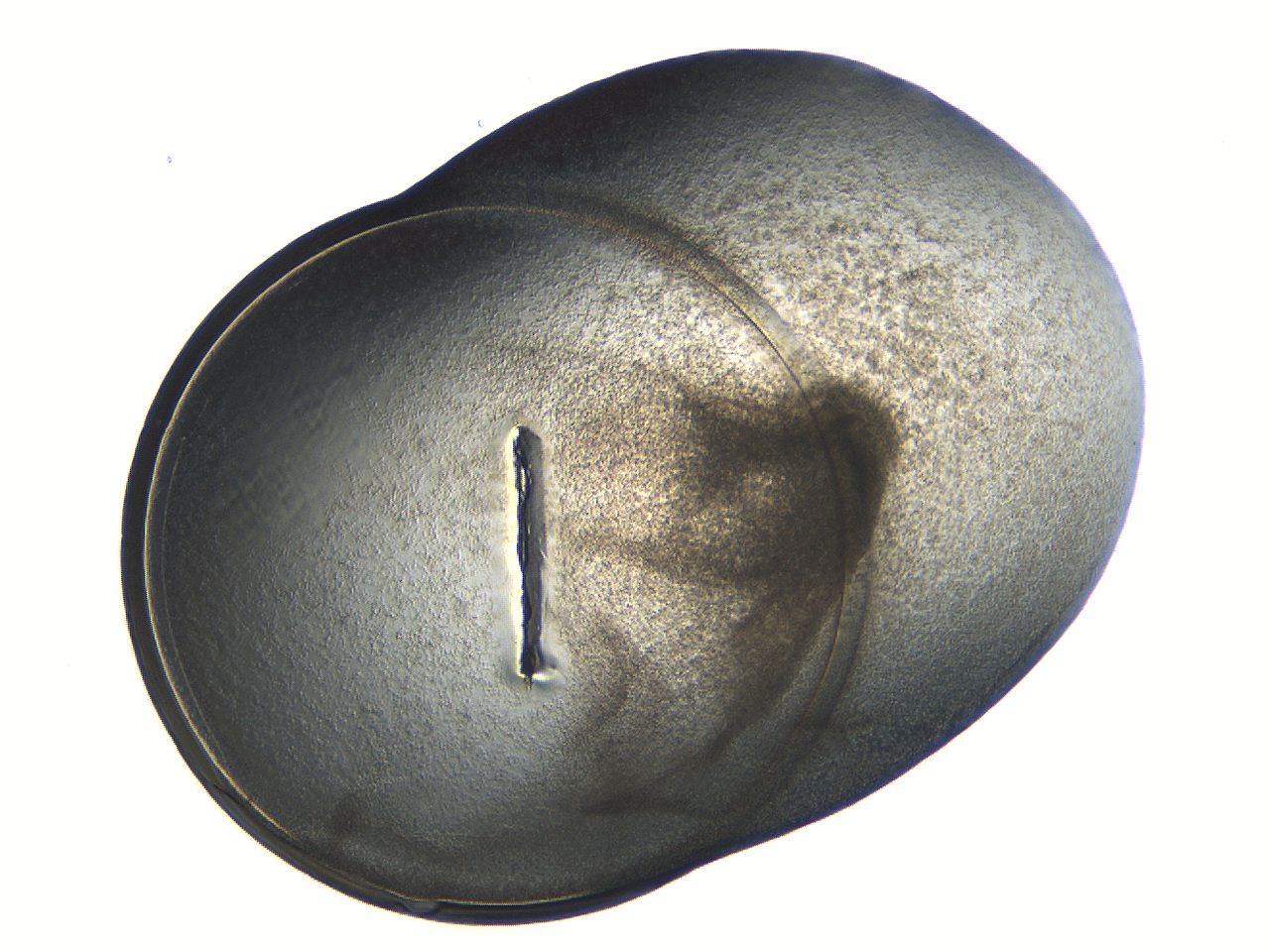 04i4_C7_ImagerDefaults_3.jpg