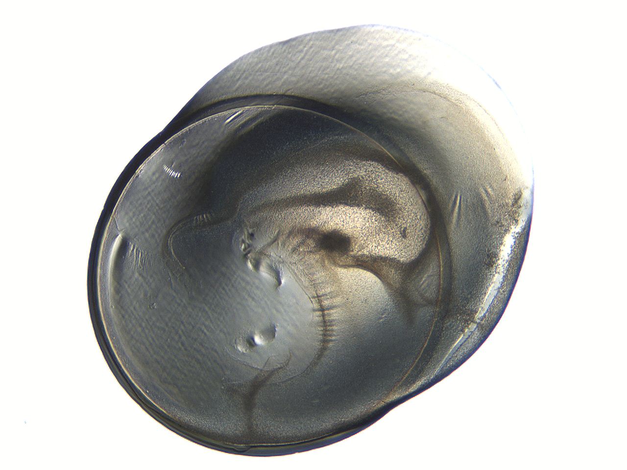 04i4_C8_ImagerDefaults_3.jpg