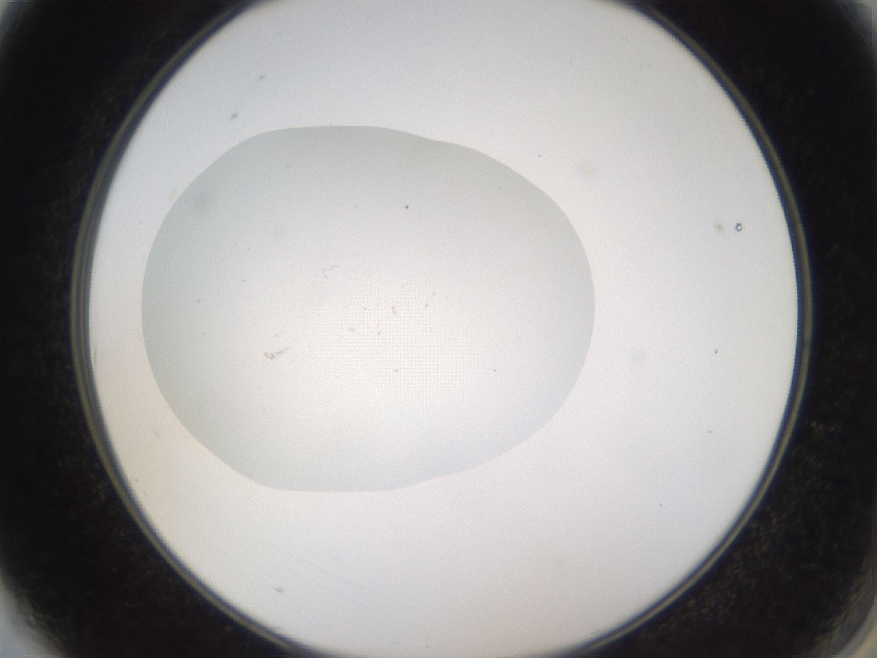 folderID377_plateID3377_batchID20103_wellNum3_profileID1_d2_r299960_ef.jpg
