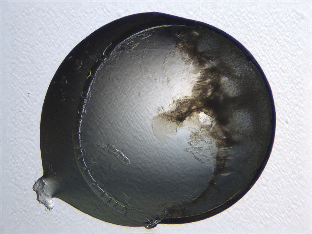 04i4_C10_ImagerDefaults_3.jpg