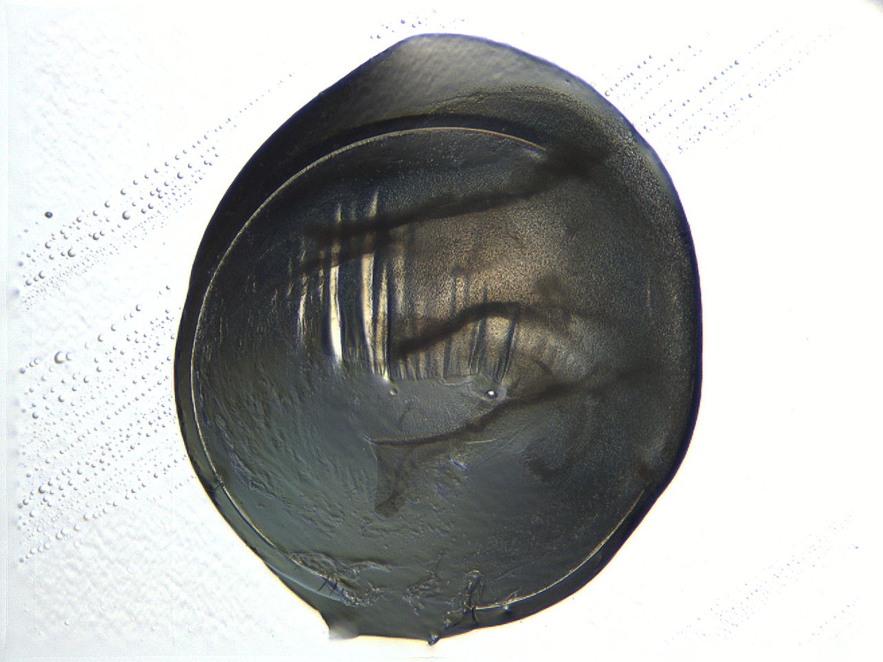 04i4_C11_ImagerDefaults_3.jpg