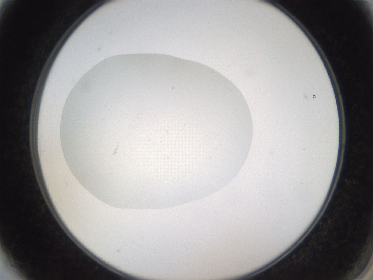 folderID377_plateID3377_batchID20152_wellNum3_profileID1_d2_r299960_ef.jpg