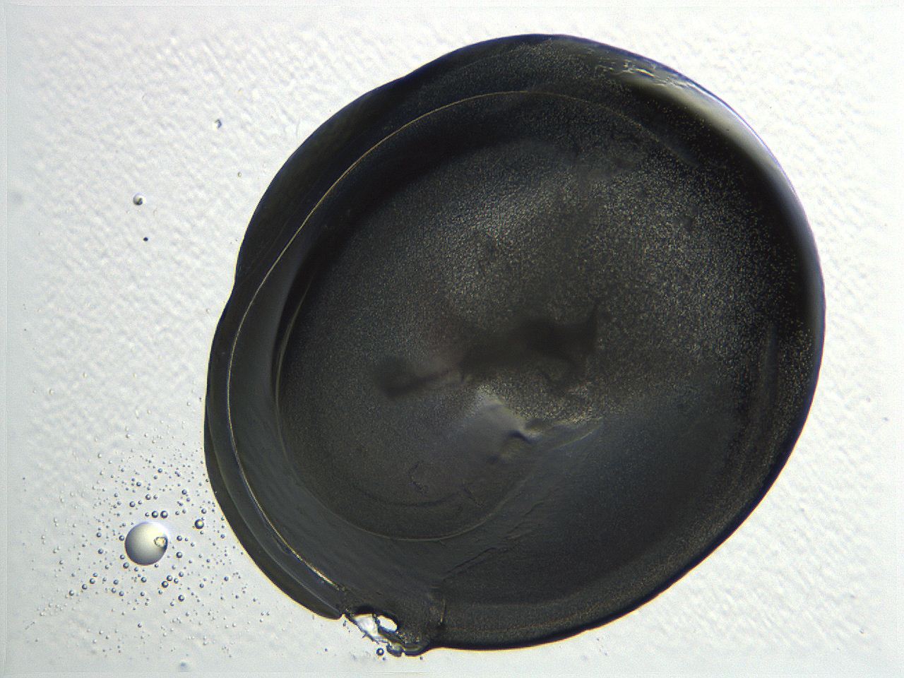 04i4_C12_ImagerDefaults_3.jpg